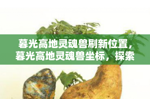 暮光高地灵魂兽刷新位置，暮光高地灵魂兽坐标，探索未知世界的神秘之旅