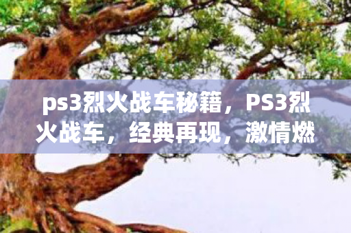 ps3烈火战车秘籍，PS3烈火战车，经典再现，激情燃烧的岁月