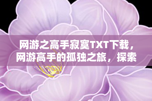 网游之高手寂寞TXT下载，网游高手的孤独之旅，探索虚拟世界的深度与广度