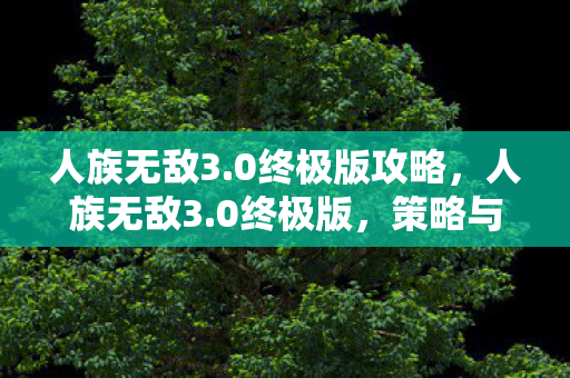 人族无敌3.0终极版攻略，人族无敌3.0终极版，策略与智慧的巅峰对决