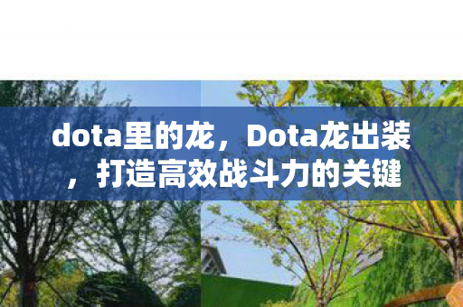 dota里的龙，Dota龙出装，打造高效战斗力的关键