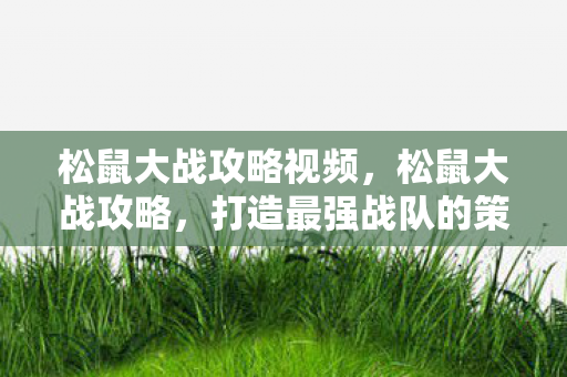 松鼠大战攻略视频，松鼠大战攻略，打造最强战队的策略与技巧
