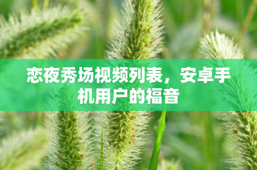 恋夜秀场视频列表,安卓手机用户的福音 恋夜秀场视频列表,安卓手机用户的福音