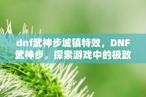 dnf武神步城镇特效，DNF武神步，探索游戏中的极致速度与技巧