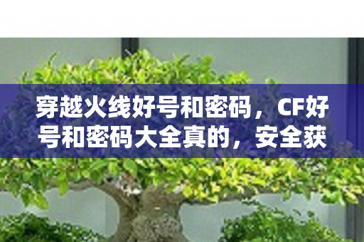 穿越火线好号和密码，CF好号和密码大全真的，安全获取与保护指南