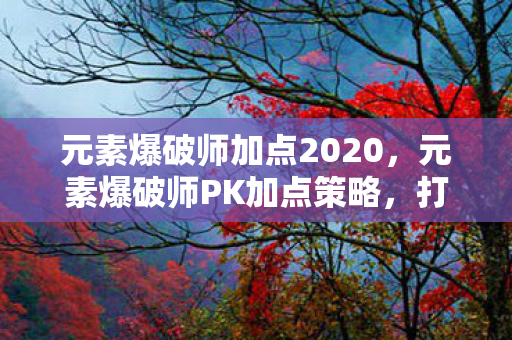 元素爆破师加点2020，元素爆破师PK加点策略，打造不败神话