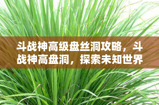 斗战神高级盘丝洞攻略，斗战神高盘洞，探索未知世界的奇幻之旅