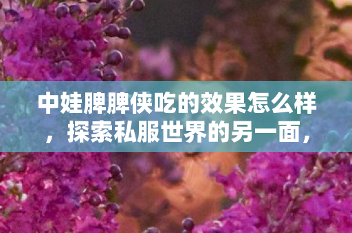 中娃脾脾侠吃的效果怎么样，探索私服世界的另一面，游戏玩家的自由与局限