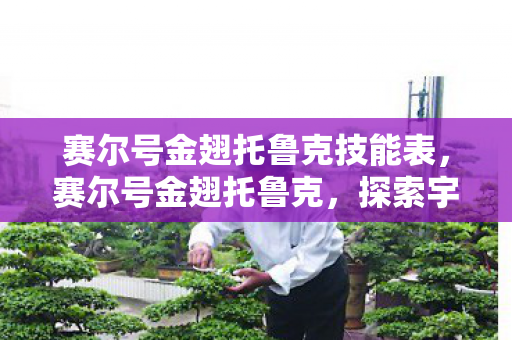 赛尔号金翅托鲁克技能表，赛尔号金翅托鲁克，探索宇宙的神秘之旅