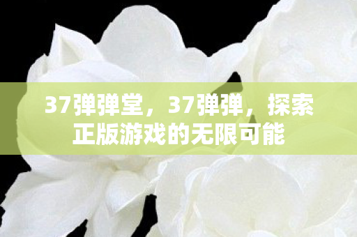 37弹弹堂，37弹弹，探索正版游戏的无限可能