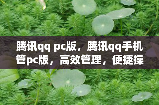 腾讯qq pc版，腾讯qq手机管pc版，高效管理，便捷操作