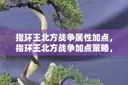 指环王北方战争属性加点，指环王北方战争加点策略，打造不败战队的秘诀