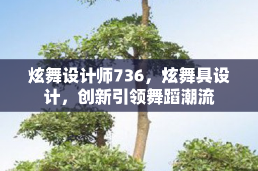 炫舞设计师736，炫舞具设计，创新引领舞蹈潮流