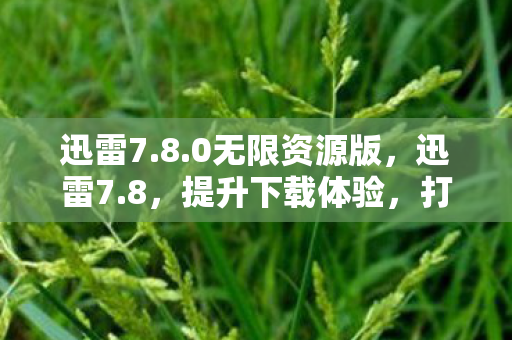 迅雷7.8.0无限资源版，迅雷7.8，提升下载体验，打造高效便捷的网络生活