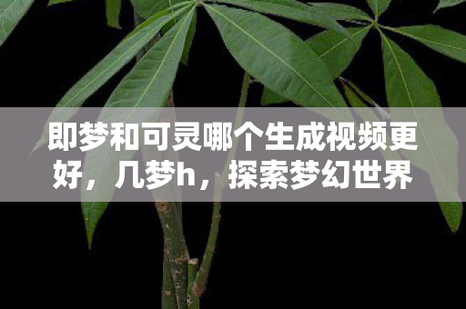 即梦和可灵哪个生成视频更好，几梦h，探索梦幻世界的无限可能