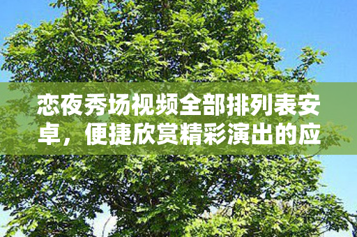 恋夜秀场视频全部排列表安卓，便捷欣赏精彩演出的应用指南