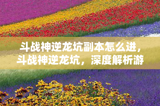 斗战神逆龙坑副本怎么进，斗战神逆龙坑，深度解析游戏背后的故事与魅力