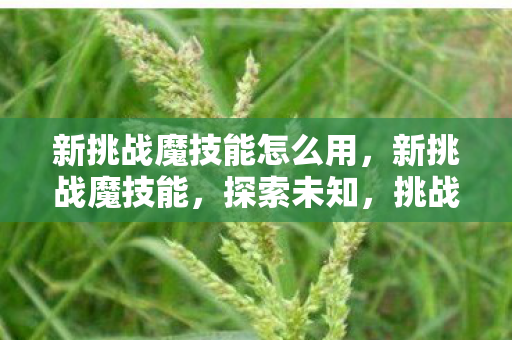 新挑战魔技能怎么用，新挑战魔技能，探索未知，挑战极限