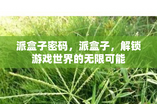 派盒子密码，派盒子，解锁游戏世界的无限可能