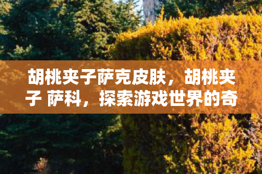 胡桃夹子萨克皮肤，胡桃夹子 萨科，探索游戏世界的奇妙之旅