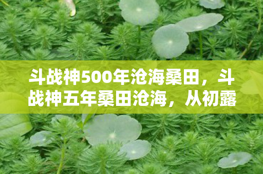 斗战神500年沧海桑田，斗战神五年桑田沧海，从初露锋芒到辉煌绽放