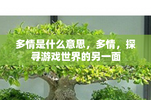 多情是什么意思，多情，探寻游戏世界的另一面