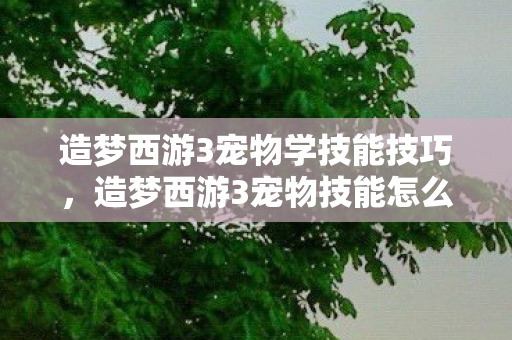 造梦西游3宠物学技能技巧，造梦西游3宠物技能怎么学