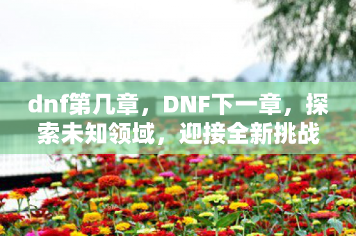 dnf第几章，DNF下一章，探索未知领域，迎接全新挑战