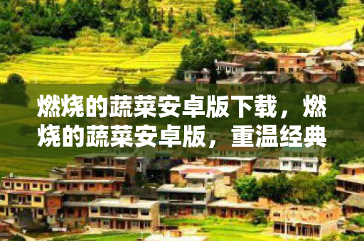 燃烧的蔬菜安卓版下载，燃烧的蔬菜安卓版，重温经典，畅享无限乐趣