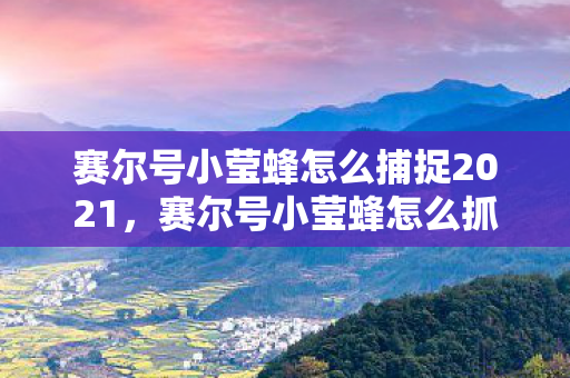 赛尔号小莹蜂怎么捕捉2021，赛尔号小莹蜂怎么抓