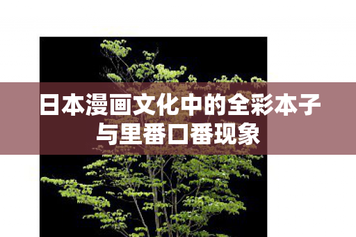 日本漫画文化中的全彩本子与里番口番现象