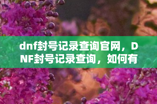 dnf封号记录查询官网，DNF封号记录查询，如何有效避免账号被封？
