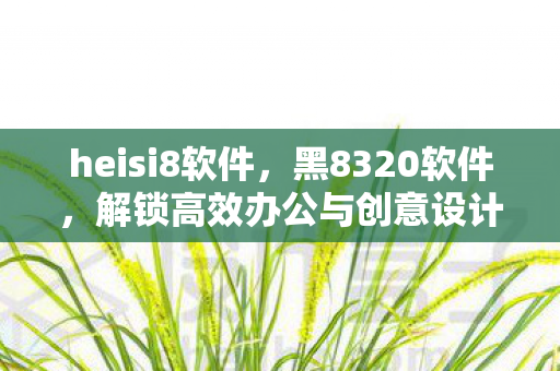 heisi8软件，黑8320软件，解锁高效办公与创意设计的神秘钥匙