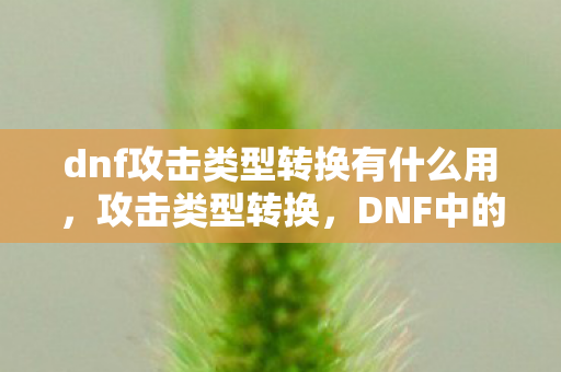 dnf攻击类型转换有什么用，攻击类型转换，DNF中的战斗艺术