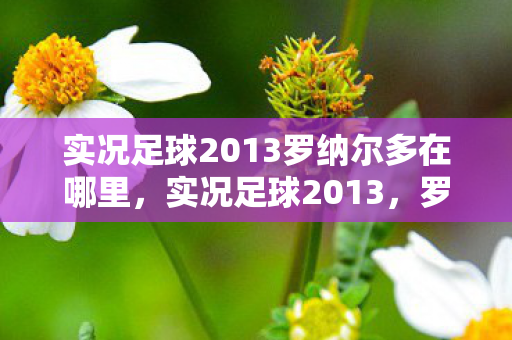 实况足球2013罗纳尔多在哪里，实况足球2013，罗纳尔多传奇再现