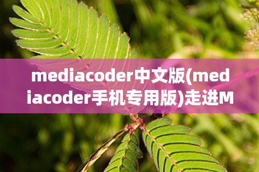 mediacoder中文版(mediacoder手机专用版)走进MediaCoder中文版，解码你的高清影音世界