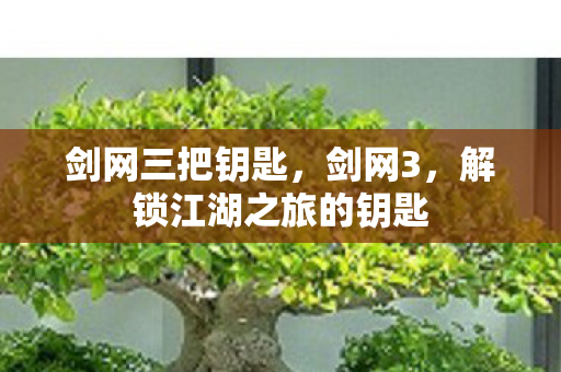 剑网三把钥匙，剑网3，解锁江湖之旅的钥匙