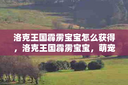洛克王国霹雳宝宝怎么获得，洛克王国霹雳宝宝，萌宠成长与策略战斗的全面解析