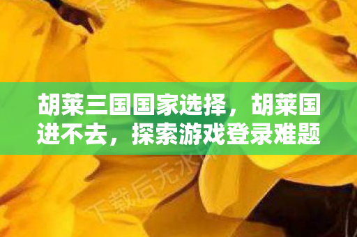胡莱三国国家选择，胡莱国进不去，探索游戏登录难题的背后