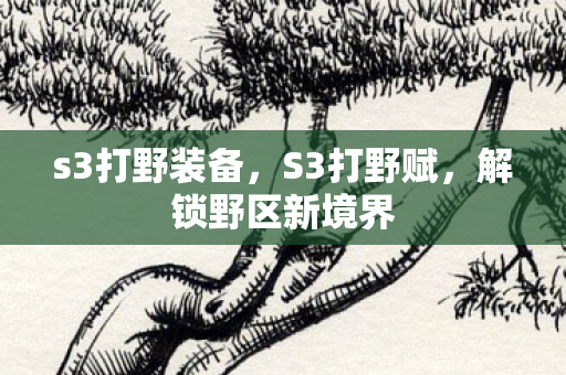 s3打野装备，S3打野赋，解锁野区新境界