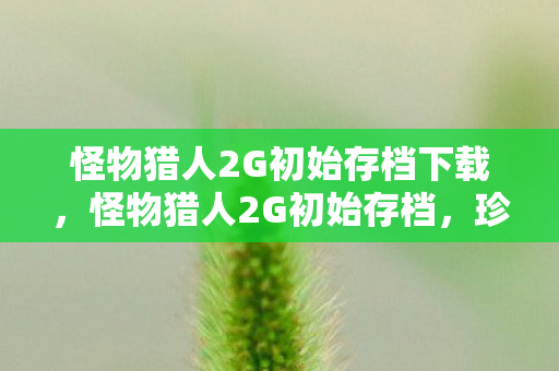 怪物猎人2G初始存档下载，怪物猎人2G初始存档，珍贵回忆与策略指南