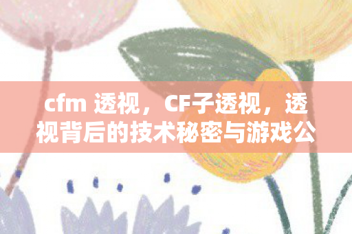 cfm 透视，CF子透视，透视背后的技术秘密与游戏公平性探讨