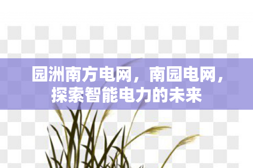 园洲南方电网，南园电网，探索智能电力的未来