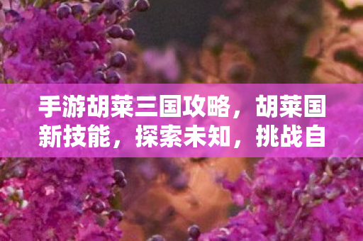 手游胡莱三国攻略，胡莱国新技能，探索未知，挑战自我