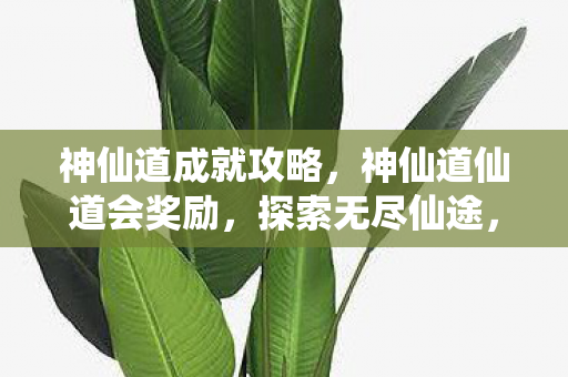 神仙道成就攻略，神仙道仙道会奖励，探索无尽仙途，赢取丰厚奖励