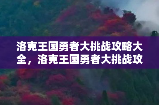 洛克王国勇者大挑战攻略大全，洛克王国勇者大挑战攻略