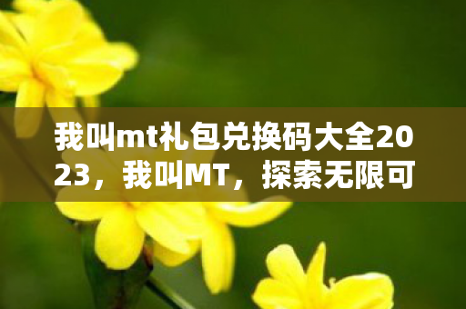 我叫mt礼包兑换码大全2023，我叫MT，探索无限可能的礼包兑换之旅