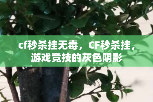 cf秒杀挂无毒，CF秒杀挂，游戏竞技的灰色阴影