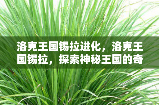 洛克王国锡拉进化，洛克王国锡拉，探索神秘王国的奇幻之旅