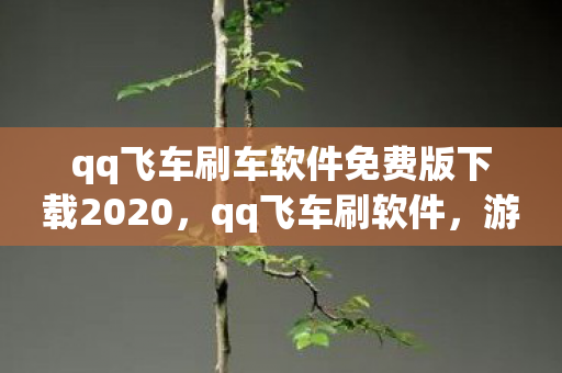 qq飞车刷车软件免费版下载2020，qq飞车刷软件，游戏辅助工具背后的秘密